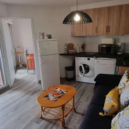 Apartament T2 Renove Avec Piscine Et Parking A 50m De La Plage, Wifi Gratuite - Fr-1-607-91
