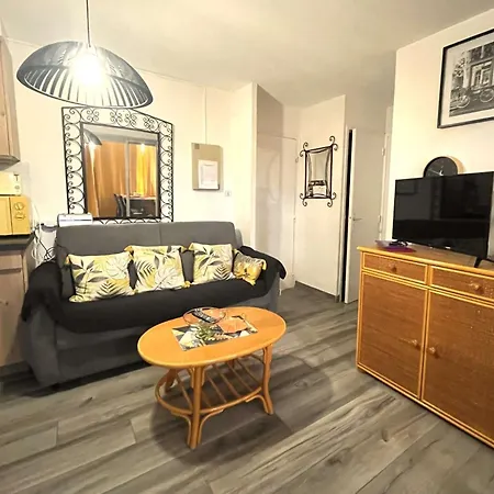 T2 Renove Avec Piscine Et Parking A 50m De La Plage, Wifi Gratuite