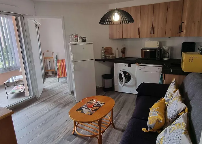 Apartamento T2 Rénové Avec Piscine Et Parking à 50m De La Plage, Wifi Gratuite - Fr-1-607-91